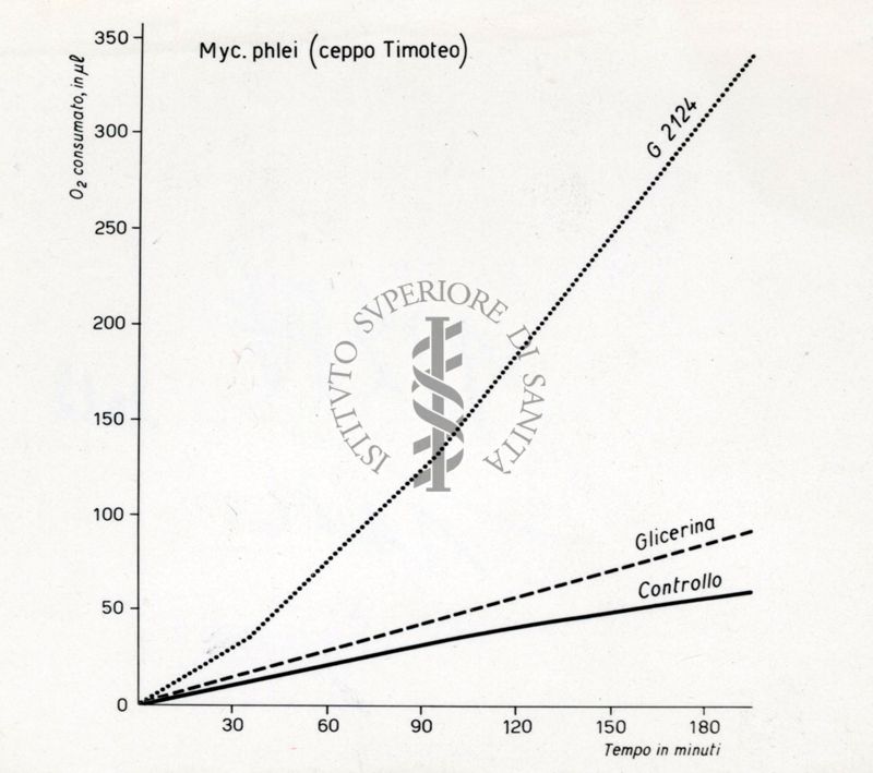 Consumo di 02 misurato al Warburg. I Warburg sono una importante famiglia di ebrei statunitensi di origine tedesca noti per attività in botanica e biochimica.