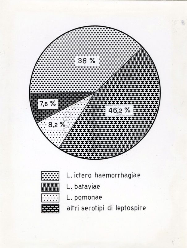 Cartogramma riguardante la leptospirosi (infezione causata da uno dei diversi sierotipi patogeni delle spirochete)