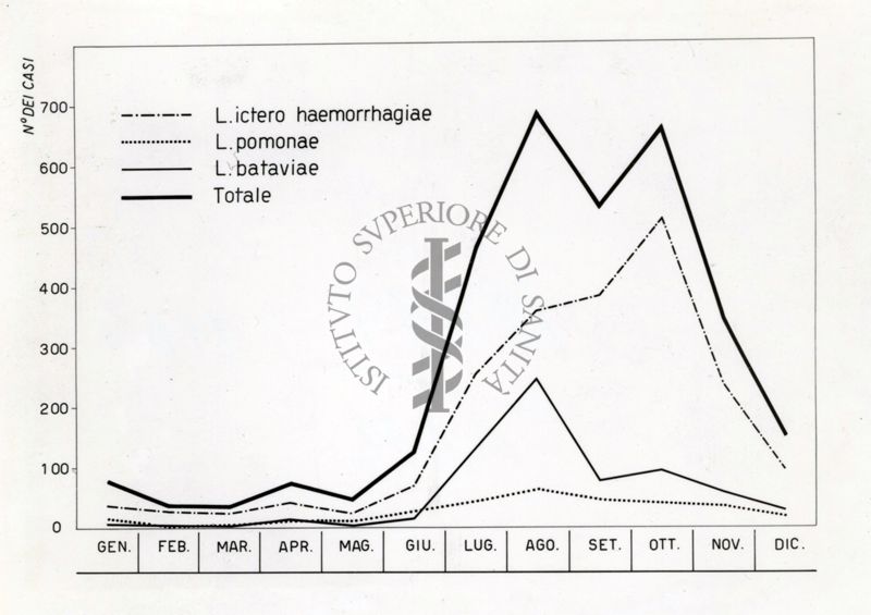 Cartogramma riguardante la leptospirosi (infezione causata da uno dei diversi sierotipi patogeni delle spirochete)