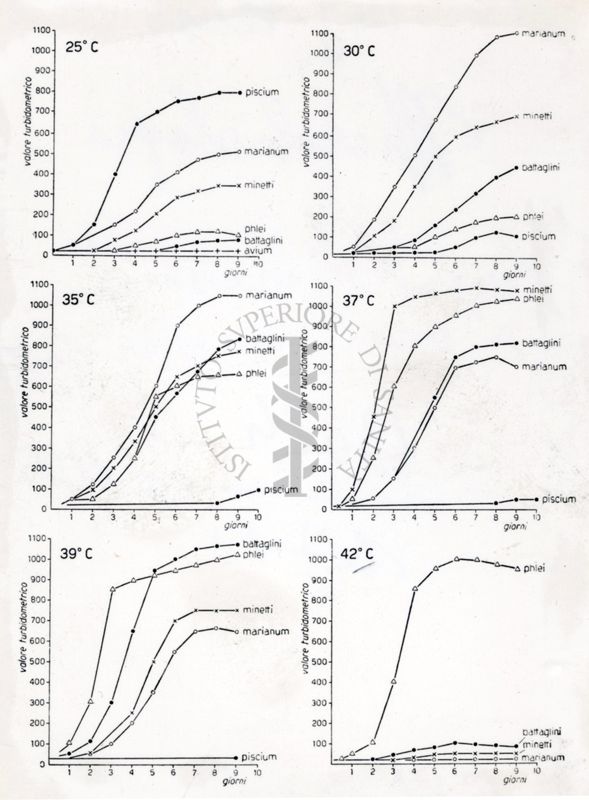 Curve di crescita di vari Mycobacterium