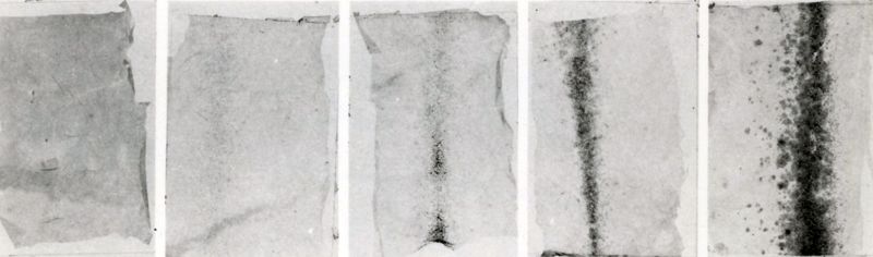 Dosaggio tossina difterica in coltura di tessuti