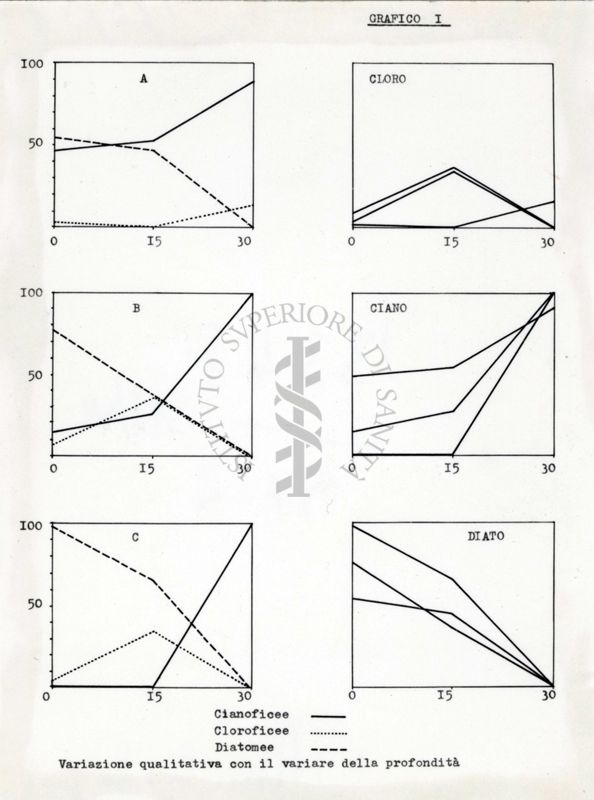 Diagramma di alghe