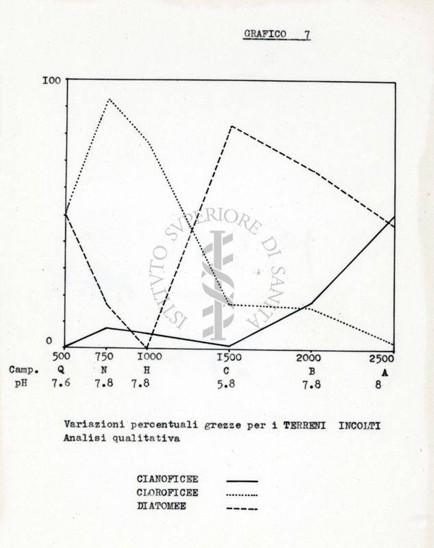 Diagramma di alghe