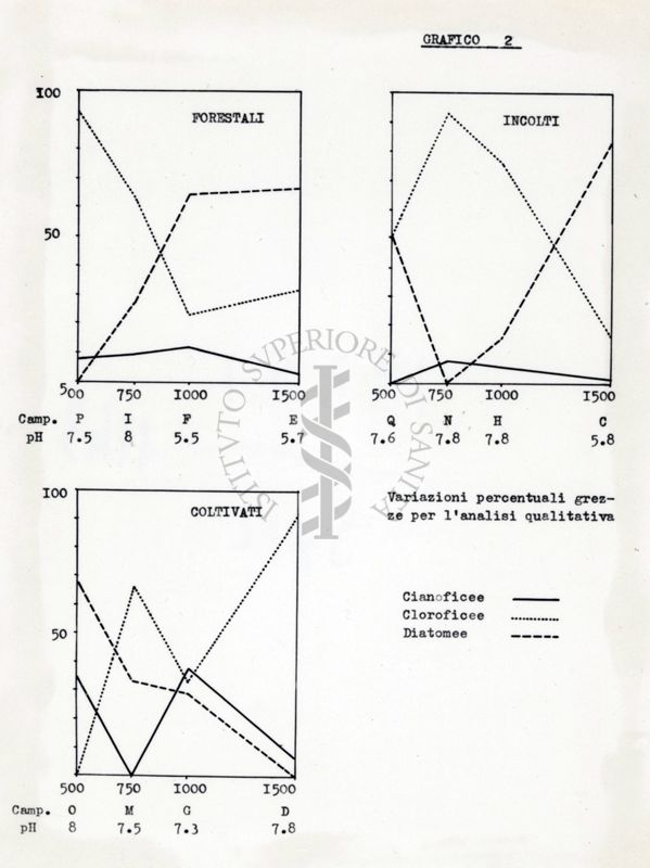 Diagramma di alghe