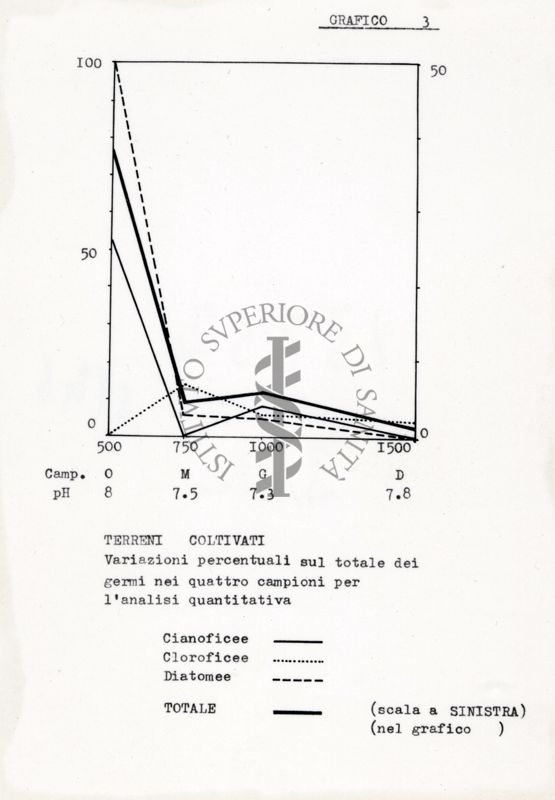 Diagramma di alghe