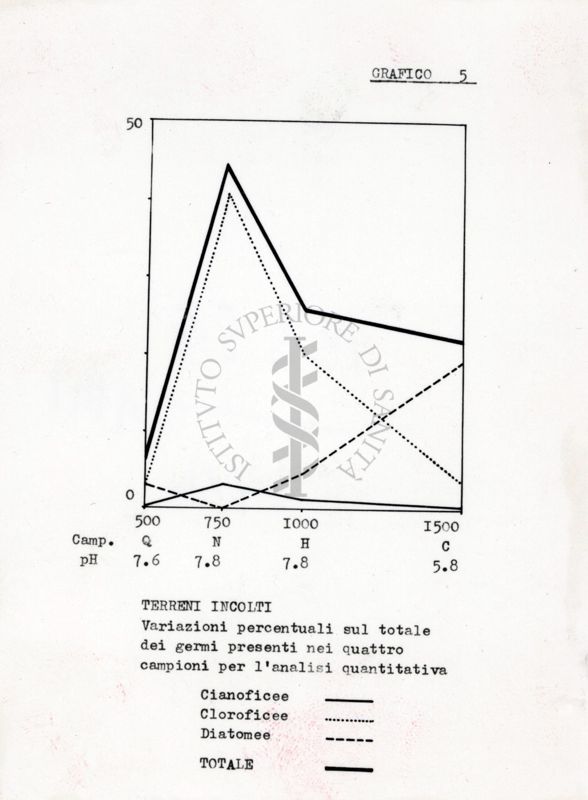 Diagramma di alghe