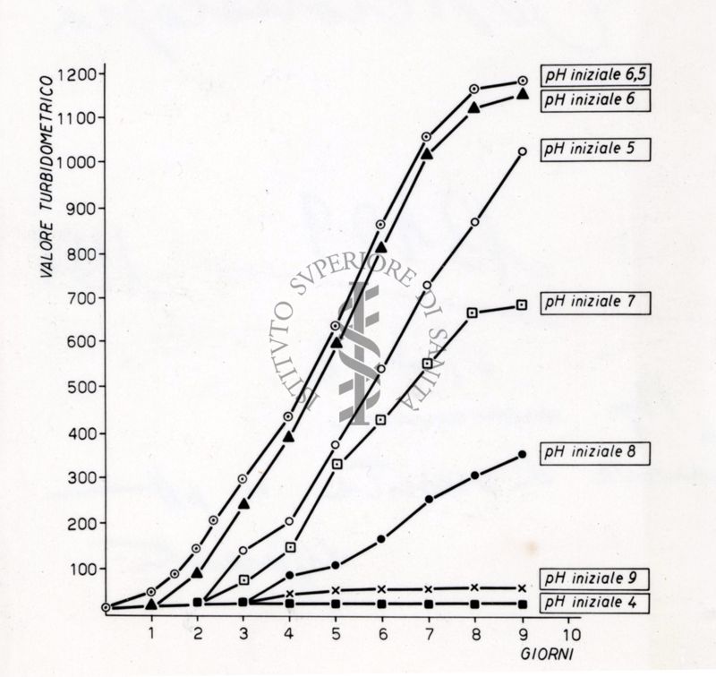 Mycobacterium Marinum. Curve di crescita a ph. differenti