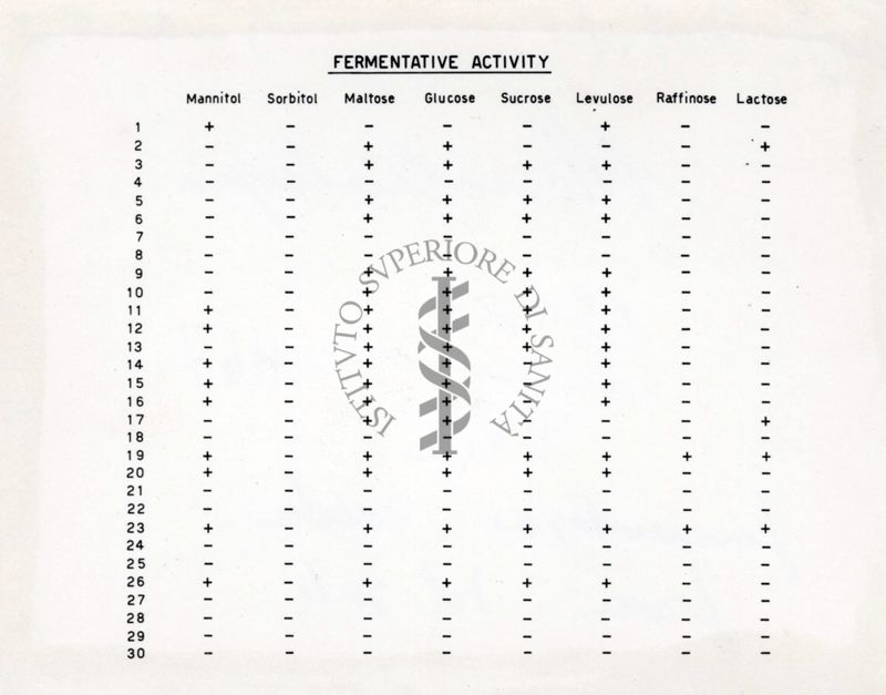 Tabella riguardante la fermentazione degli zuccheri. Germi del sale
