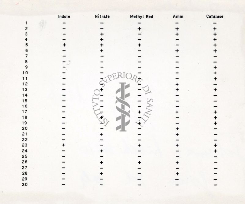 Tabella riguardante lo schema biochimico dei germi del sale