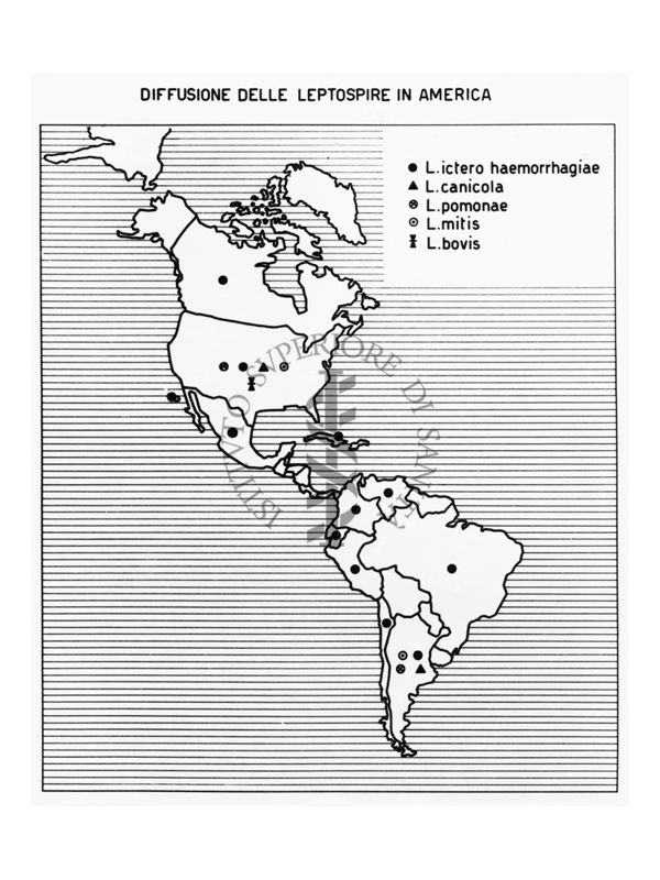 Cartogramma riguardante la diffusione delle Leptospire in America