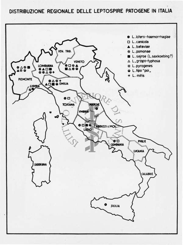 Cartogramma riguardante la distribuzione regionale delle Leptospire Patogene in Italia