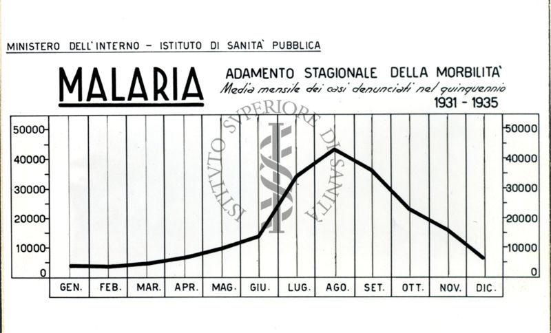 Diagramma dell'andamento stagionale della morbilità della malaria