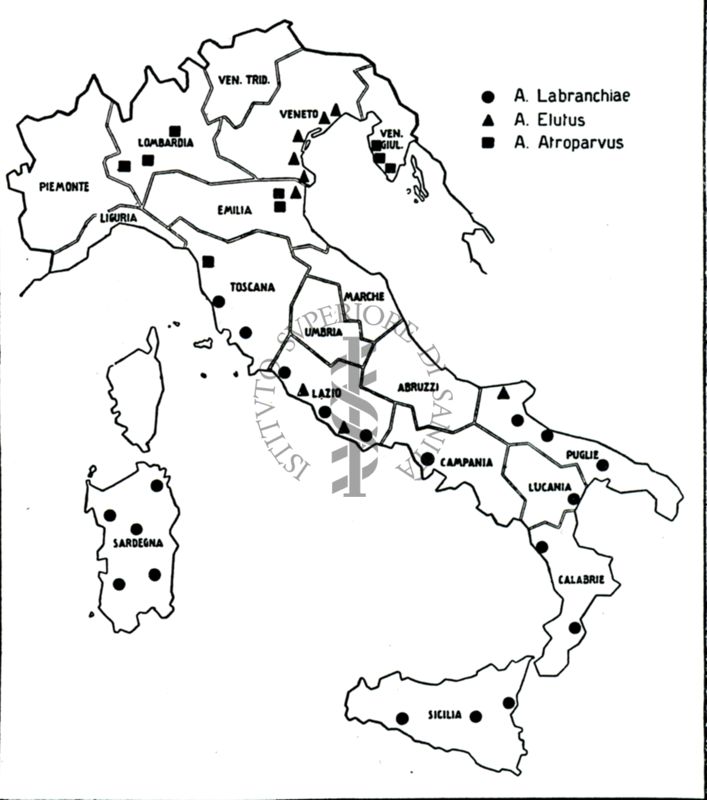 Cartogramma raffigurante la diffusione delle varie razze di Anopheles maculipennis in Italia