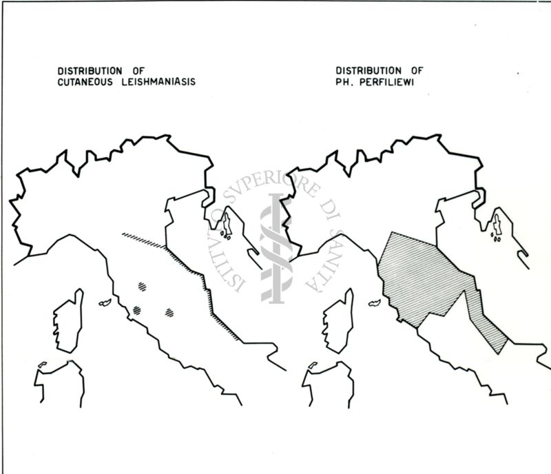 Leishmaniosi nell'Italia del Nord e del Centro