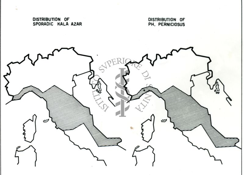 Leishmaniosi nell'Italia del Nord e del Centro.