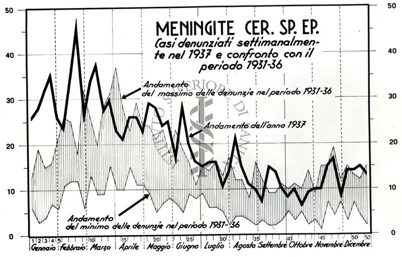 Diagramma riguardante i casi di Meningite Car. Sp.Ep.