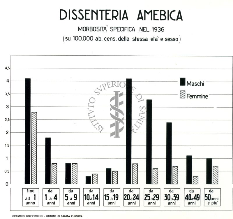 Diagrammi riguardanti la morbosità specifica per dissenteria amebica