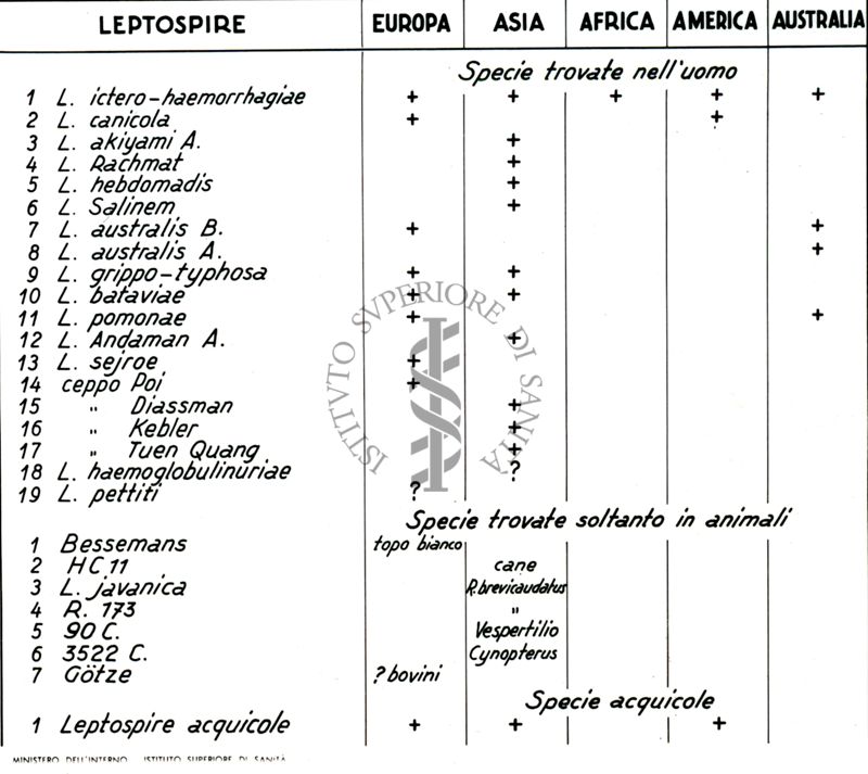 Diffusione delle Leptospire nel mondo