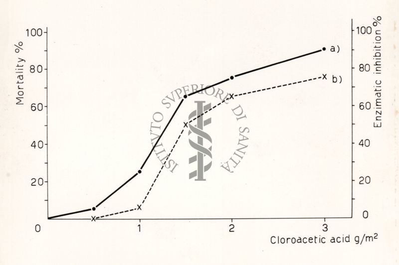 Riproduzione da disegno