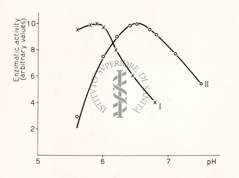 Riproduzione da disegno