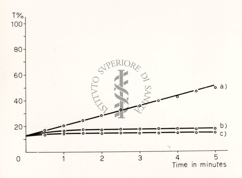 Riproduzione da disegno