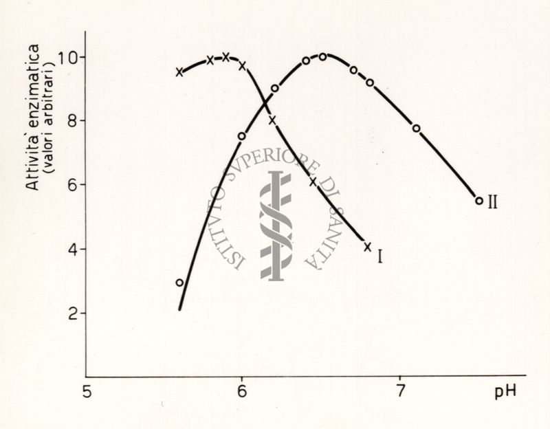 Riproduzione da disegno