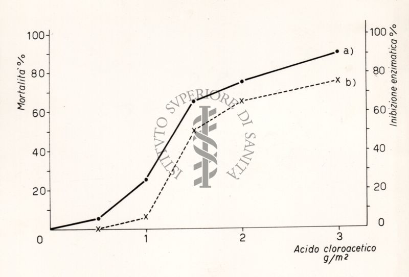 Riproduzione da disegno