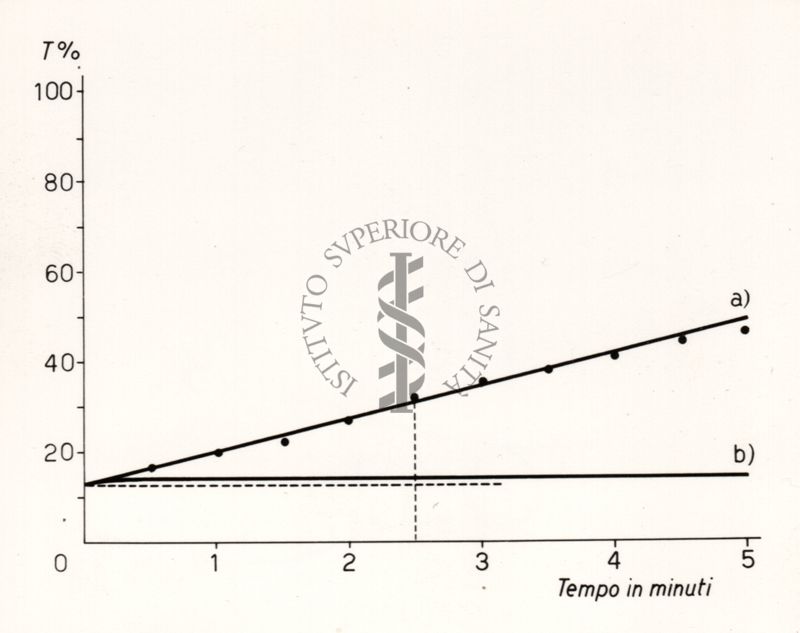 Riproduzione da disegno