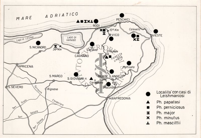 Localita con casi di Leishmaniosi Gargano