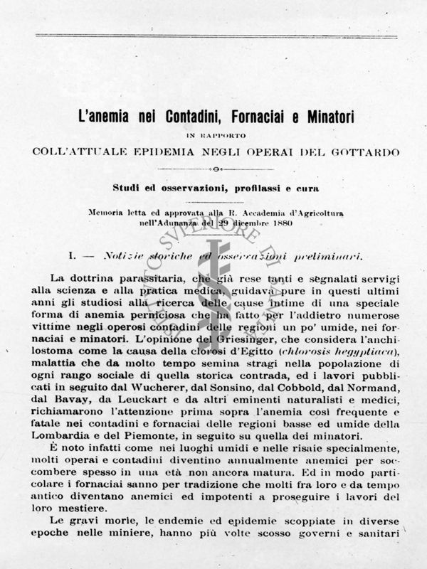 Lavoro originale di Edoardo Perroncito sull'anemia del Gottardo (1910)