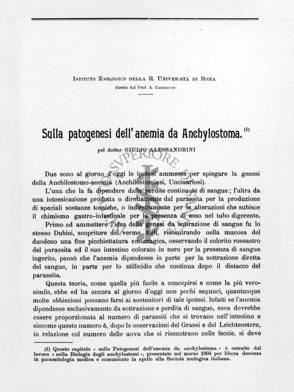 Lavoro Originale di Giulio Alessandrini sulla patogenesi dell'anemia da Anchilostoma 1904