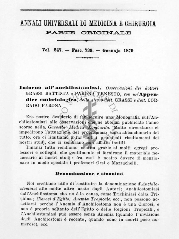 Lavoro originale di Grassi e Parona sull'embriologia dell'Anchilostoma 1879