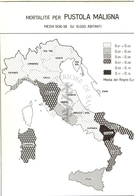 Cartogramma riguardante la mortalità per Pustola Maligna