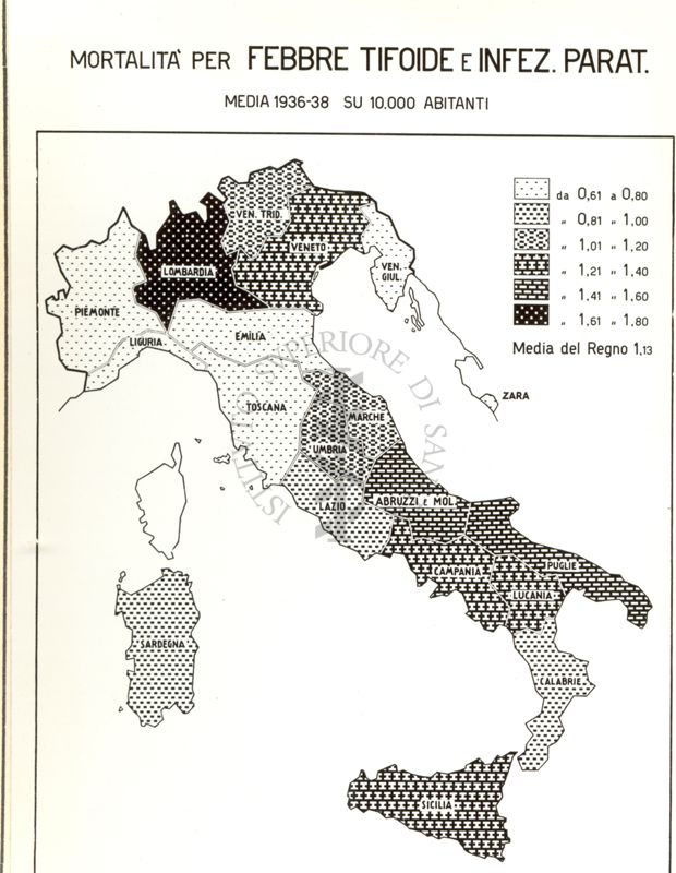 Cartogramma riguardante la mortalità per Febbre Tifoide e Infezioni Paratifiche