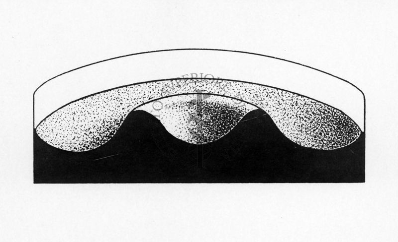 Capsula per cultura uova di Strongiloidei (sezione schematica)