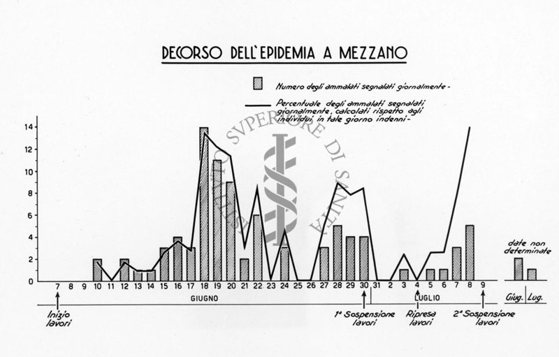 Grafico raffigurante l'epidemia di leptospirosi delle risaie