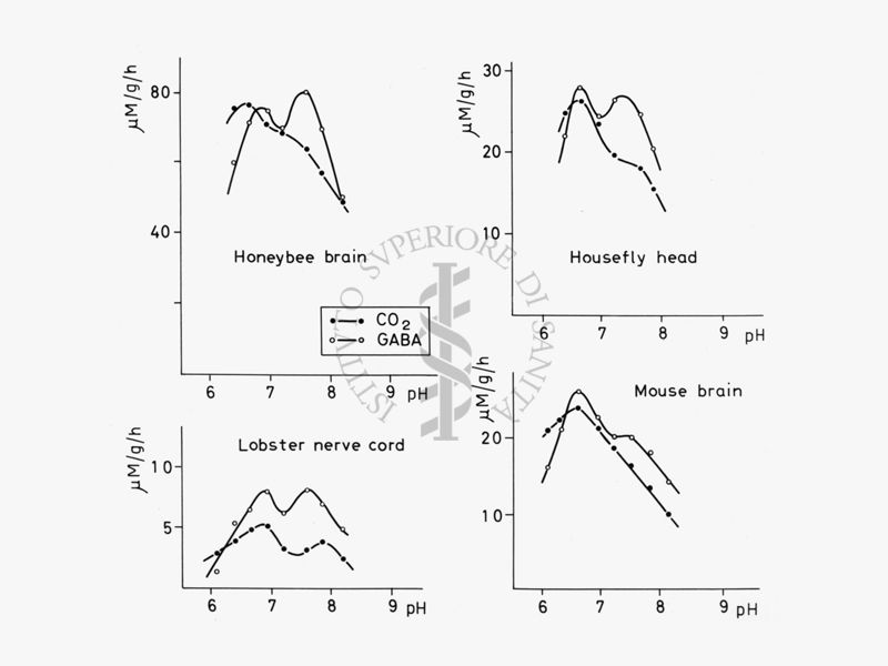 Grafici relativi a studi di fisiologia sul funzionamento dei recettori GABA al variare dell'anidride carbonica e del pH nel cervello di ape, mosca, aragosta e topo