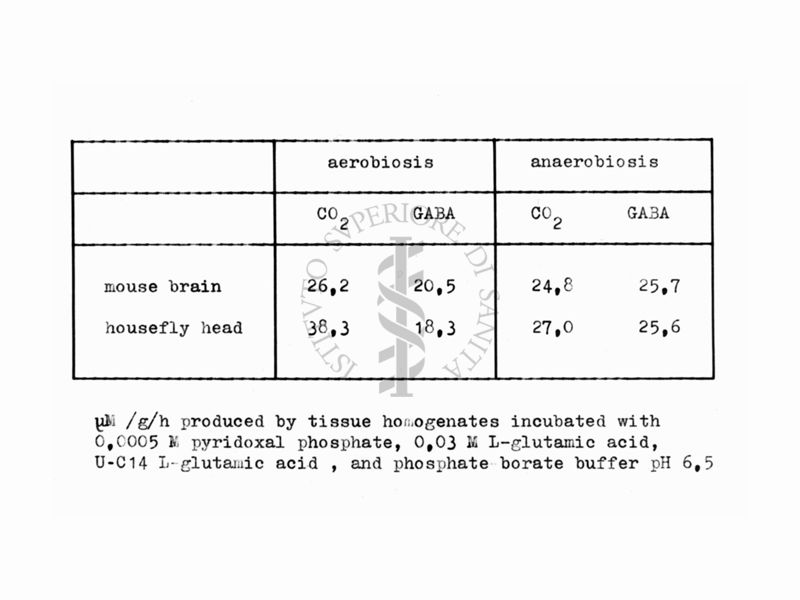 Tabella relativa a studi sul funzionamento dei recettori GABA in mosca e topo