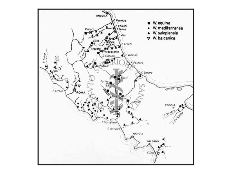 Carta tematica del centro Italia per la distribuzione di Wilhelmia Equina, Wilhemia Mediterranea, Wilhemia Salopiensis, Wilhemia Balcanica (Diptera, Simulidas)