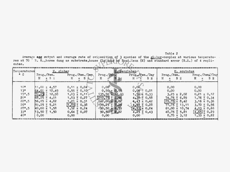 Tabella relativa ad un esperimento sulla media del tasso di deposizione di tres pecie di mosche del complesso Musca Glaber (Diptera, Simulidae): Musca Glaber, Musca Perglaber e Musca Scutatus