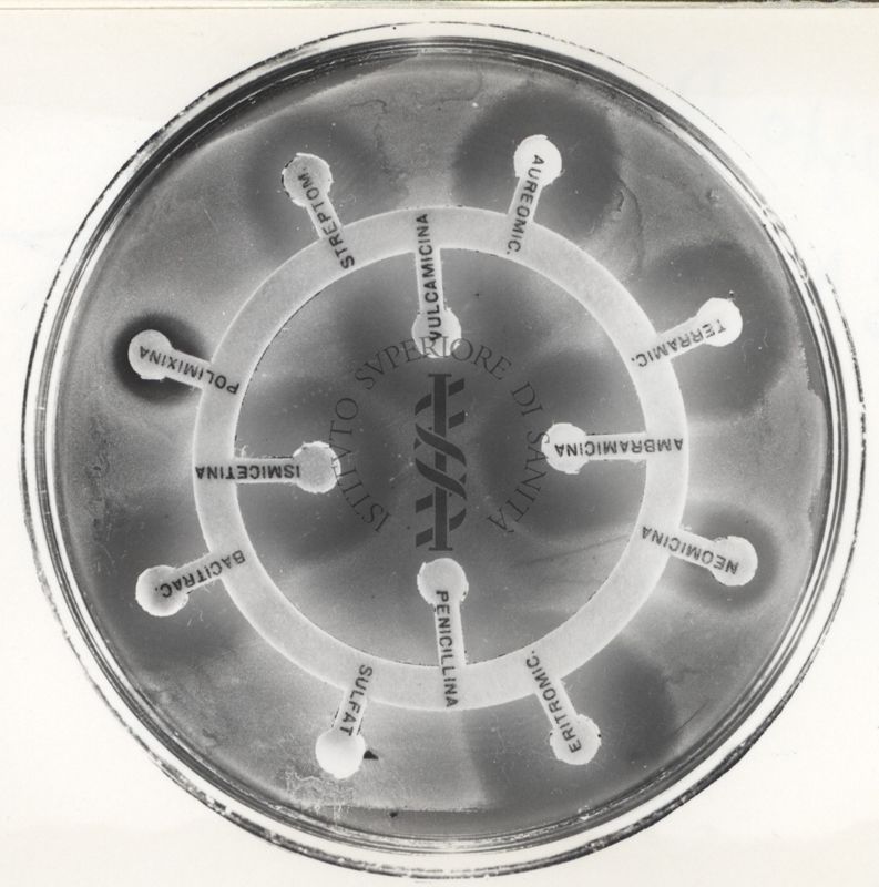 Piastre di antibiogramma