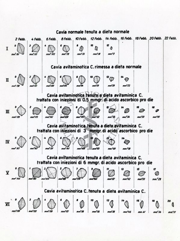 Velocità di guarigione delle ferite