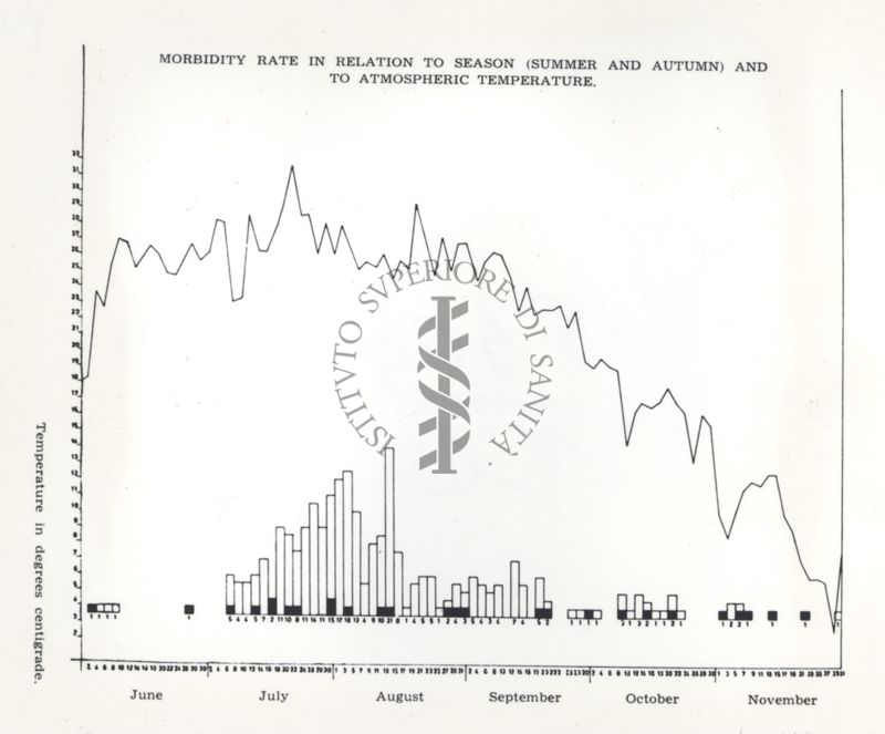 VIRUS 1955