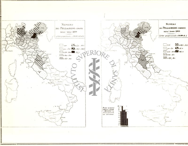 Cartogrammi riguardanti il numero dei pellagrosi censiti negli anni 1899 e 1909