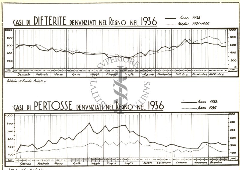 Diagrammi riguardanti i casi di difterite e pertosse denunziati nel Regno nel 1936