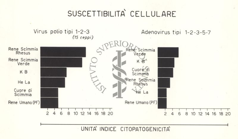 Suscettibilità cellulare