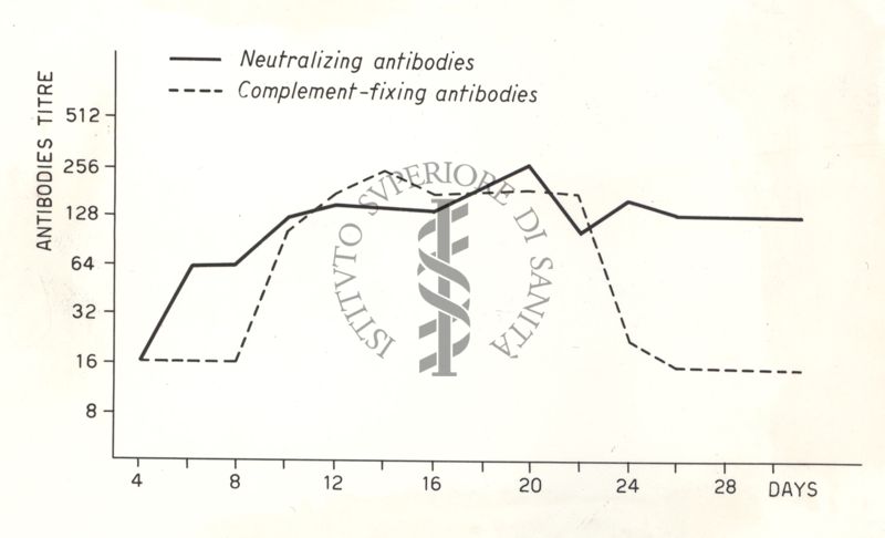 Epidemia da virus Coxsackie B. 4 a Gorizia