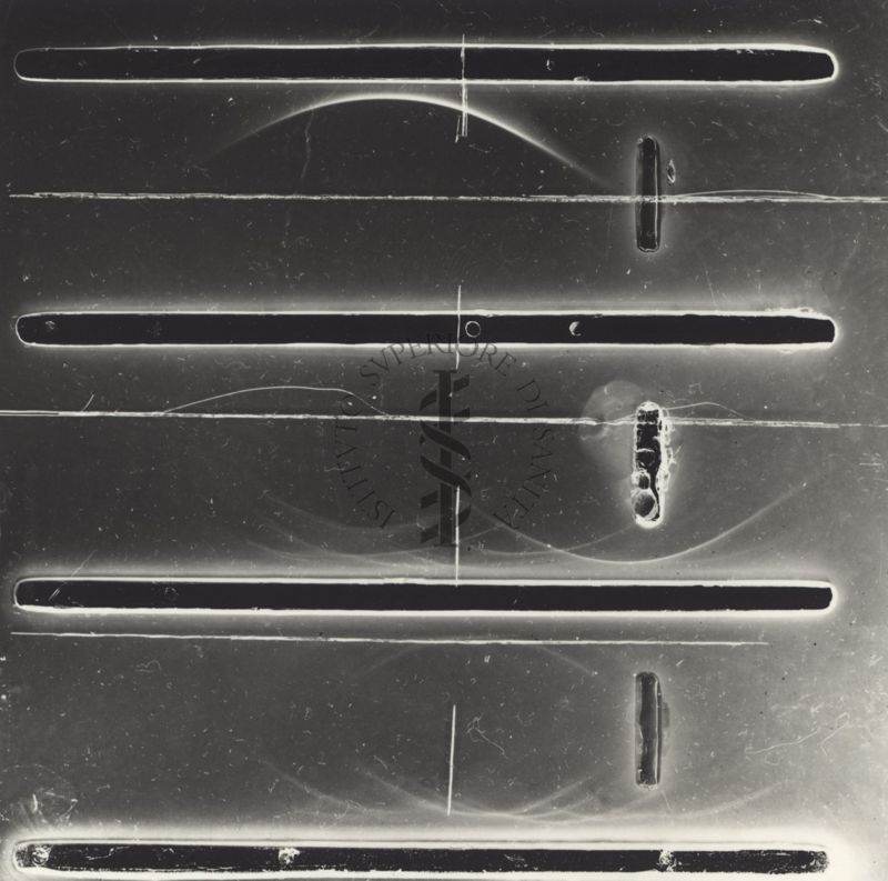 Immunoelettroforesi di micobatteri