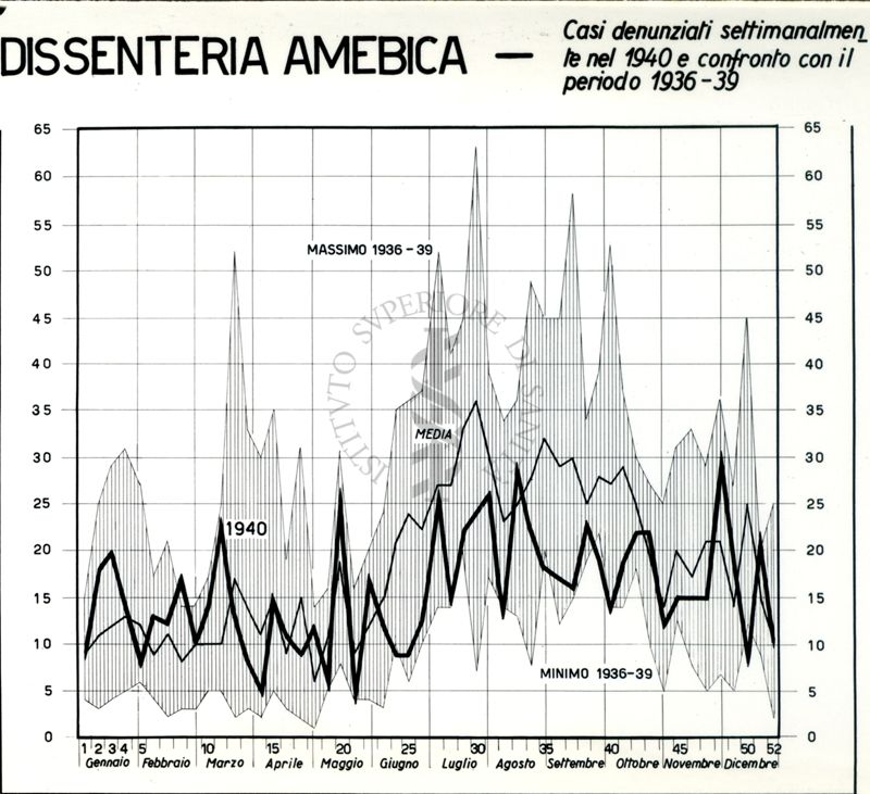 Diagramma riguardante i casi denunciati settimanalmente per dissenteria amebica