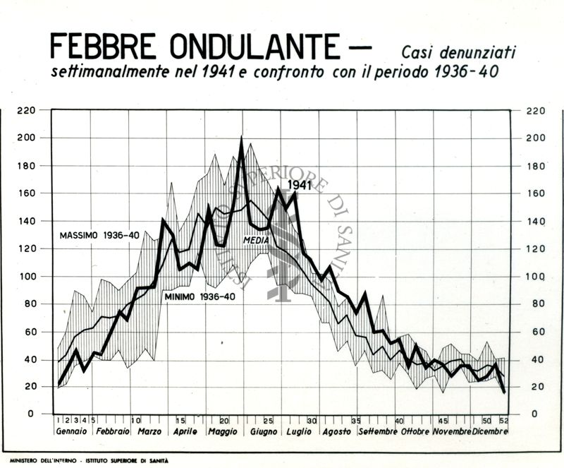 Diagramma riguardante i casi denunciati settimanalmente nel 1941 per febbre ondulante